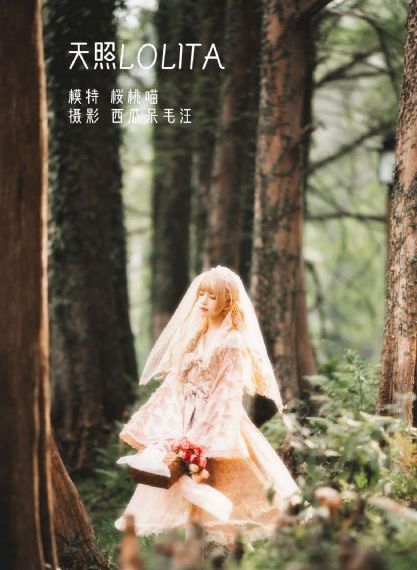 电视剧 我是刑警_国产剧全集在线观看
